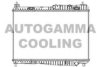 AUTOGAMMA 105522 Radiator, engine cooling